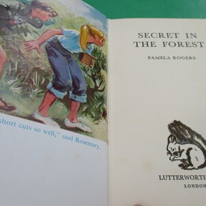Secret in The Forest - Vintage Childrens Book - English  Edition 1960s