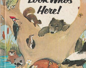 Look Who's Here! - Vintage Wonder Book - 1960s - American Edition