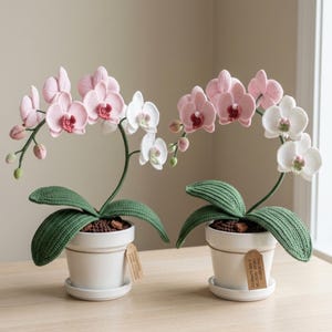 Könnte beinhalten: Zwei gehäkelte Orchideen in weißen Töpfen mit Untertassen. Die Orchideen haben rosa und weiße Blüten, grüne Blätter und braunes Topfmaterial. Die Töpfe haben ein Anhängeetikett. Die Pflanzen stehen auf einer hellbraunen Oberfläche.