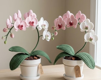 Schema per orchidea all'uncinetto in PDF, schema amigurumi di orchidea in vaso, schema di fiore all'uncinetto, pianta all'uncinetto, decorazione per la casa all'uncinetto, adatto ai principianti