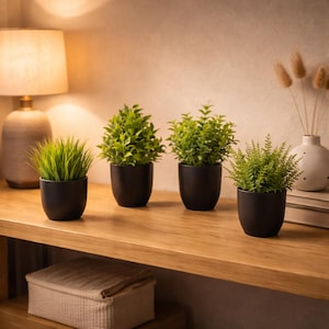 May include: Four small potted plants with green foliage sit on a wooden shelf. The plants are in black, rounded pots. A lamp with a beige shade and a decorative vase are also on the shelf. The background is a neutral color.