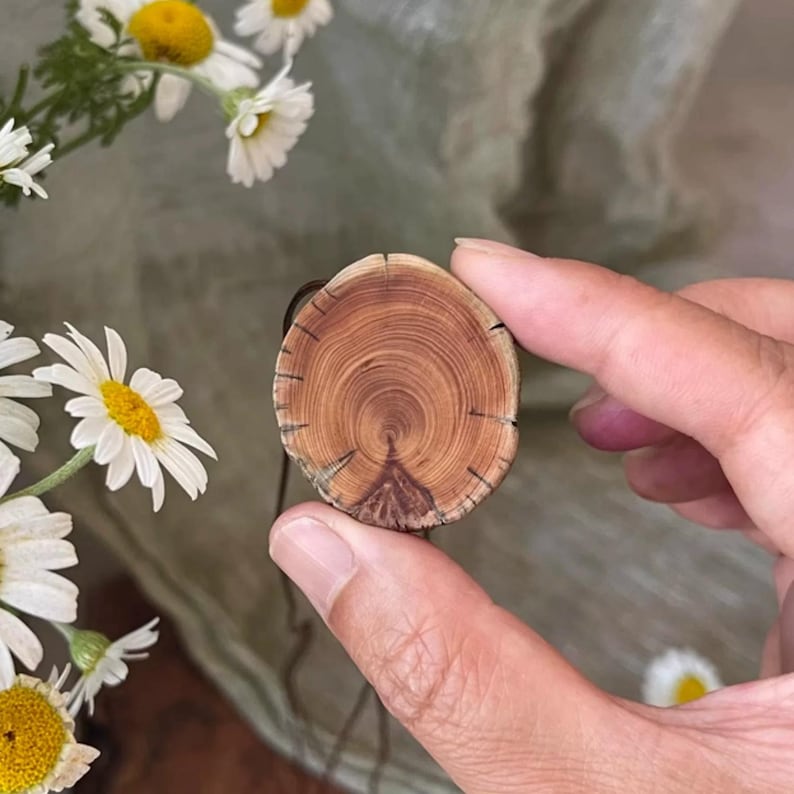 Pode incluir: Um pingente de madeira redondo, com an&eacute;is de crescimento vis&iacute;veis e uma cor marrom natural. O pingente &eacute; segurado por uma m&atilde;o e tem um pequeno cord&atilde;o de couro marrom escuro. Margaridas com p&eacute;talas brancas e centros amarelos est&atilde;o ao fundo.