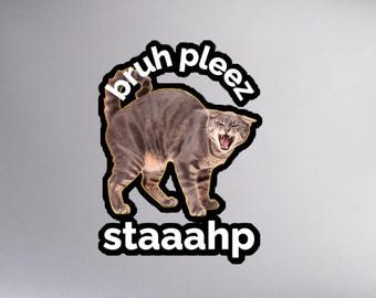 Bruh Pleez Stahp Cat Sticker Funny Tabby Decal Sarcastic Vinyl Sticker Laptop Water Bottle Decal Meme Gift Feline Humor Art DeezTeeSlaps