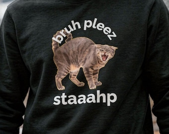 Bruh Pleez Stahp Cat Sweatshirt Luxury Crewneck Funny Cat Humor Apparel Minimalist Graphic Pullover Street Style Tabby Cat Graphic Sweater
