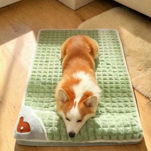 Op de afbeelding: Een rechthoekig huisdierbed met een saliegroen, getextureerd oppervlak met een ruitpatroon. Het bed heeft een lichtgrijze hoekaccent met een klein, oranje logo in de vorm van een kleine letter b. Een bruin-witte Corgi ligt plat op de mat.