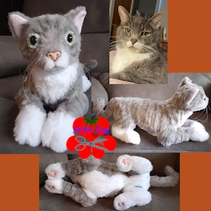 Custom Cat Plush Art Pet Memorial