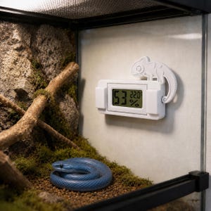 May include: A white digital thermometer and hygrometer mounted on a glass wall, featuring a decorative chameleon figure on the top right corner. The display shows a humidity reading of 53% and a temperature reading of 22.0 degrees Celsius.