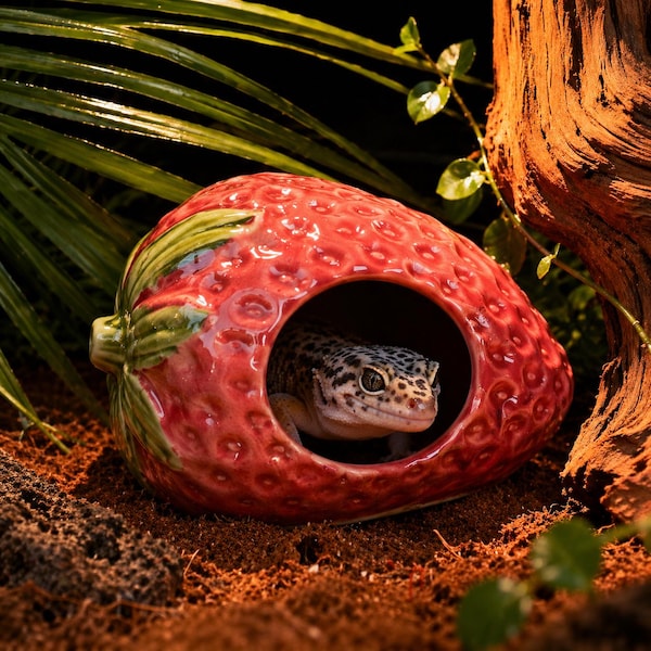 Erdbeere Reptil Burrow Keramik verstecken, Fisch verstecken, Eidechse/Schlange Dekor Haus