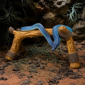 May include: A vibrant blue snake rests on a decorative wooden perch. The perch is made of light brown wood and is wrapped with rope at the ends. The snake's scales are a bright blue color, and it is positioned in a naturalistic setting.