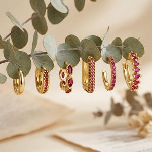 Könnte beinhalten: Ein Set aus sechs goldfarbenen Creolen, die an einem Eukalyptuszweig hängen. Die Kollektion umfasst eine schlichte goldene Creole, eine Creole mit einer Reihe kleiner roter Steine, eine Creole mit roten Markise-Steinen, eine rechteckige Creole.