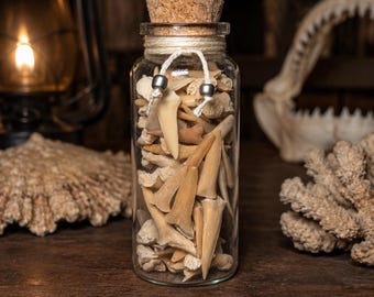 Haifischzähne & Knochen-Curio-Flasche • Meeresmagie Altar-Curio • Schutz und Stärke • Natürliche Haifischzähne-Kollektion