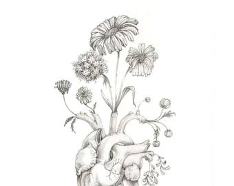 8x10" PRINT of original drawing "Blooming Heart"- graphite, art, anatomy, floral, heart, valentine