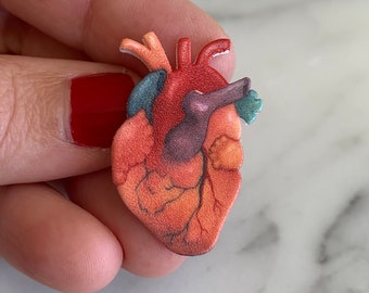 Anatomical heart pin/brooch, shrink plastic original art