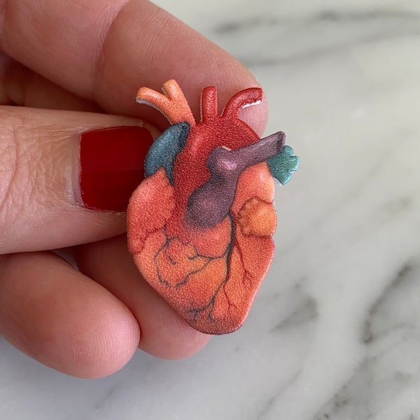 Anatomical heart pin/brooch, shrink plastic original art