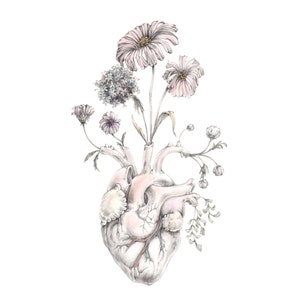 Blooming Heart painting, art, anatomy, valentine, floral image 2