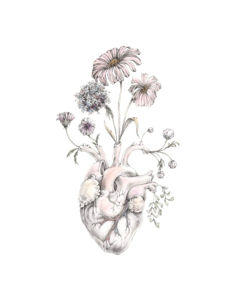 Blooming Heart painting, art, anatomy, valentine, floral image 2