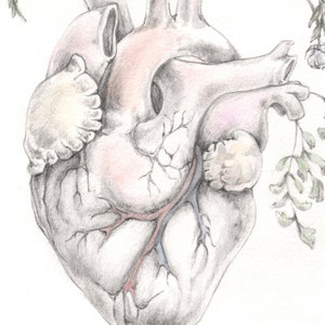 Blooming Heart painting, art, anatomy, valentine, floral image 4