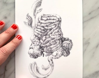 INTESTINES with scrollwork- human anatomy, medical drawing, scientific art