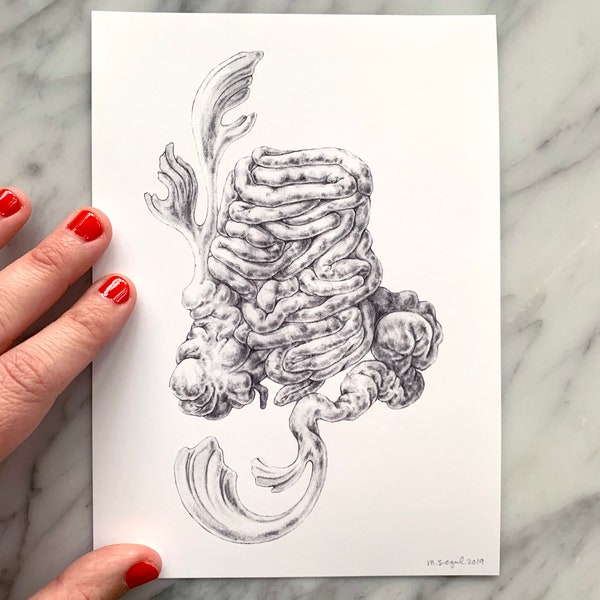 INTESTINES with scrollwork- human anatomy, medical drawing, scientific art