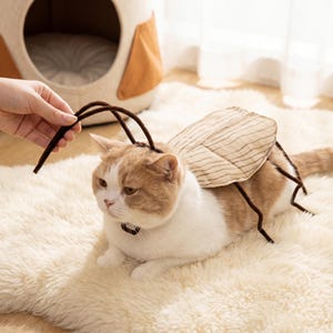 May include: A cat wearing a costume designed to resemble an insect. The costume features a tan, striped shell-like back piece and dark brown, flexible antennae attached to a collar. The cat has white and light brown fur and is lying down.