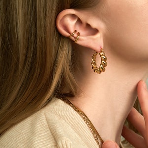 The Large Croissant Hoop Earrings main image 1