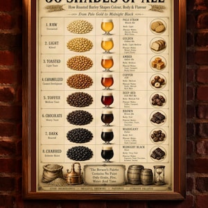 Puede incluir: Un póster educativo enmarcado titulado 50 Shades of Ale, que muestra una tabla de ocho niveles de tueste de cebada, desde crudo hasta carbonizado. Incluye ilustraciones de granos, vasos de cerveza y alimentos, con texto sobre color y sabor.