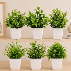 May include: Six small, artificial green plants in square white pots. The plants vary in leaf shape and texture, offering a diverse aesthetic. The pots are arranged on a light-colored wooden shelf, creating a clean and modern look.