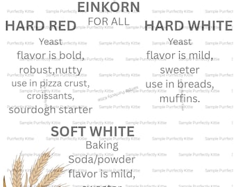 Wheat berry cheat sheet