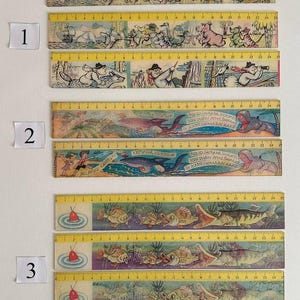 Op de afbeelding: Een verzameling van elf houten linialen, elk 24 centimeter lang, gerangschikt in drie groepen gelabeld 1, 2 en 3. De linialen zijn voorzien van kleurrijke illustraties van stripdieren, vissen en mensen, met duidelijke zwarte meetmarkeringen.