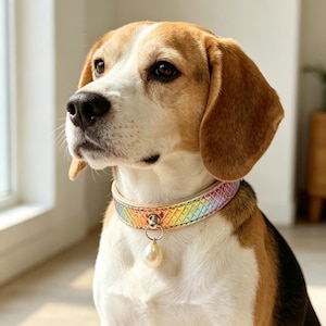 Op de afbeelding: Een beagle-hond draagt een halsband met een holografische, iriserende, schubachtige textuur. De halsband is voorzien van een centrale zilverkleurige metalen ring waaraan een enkele, gladde, crèmekleurige druppelvormige parelbedel hangt.