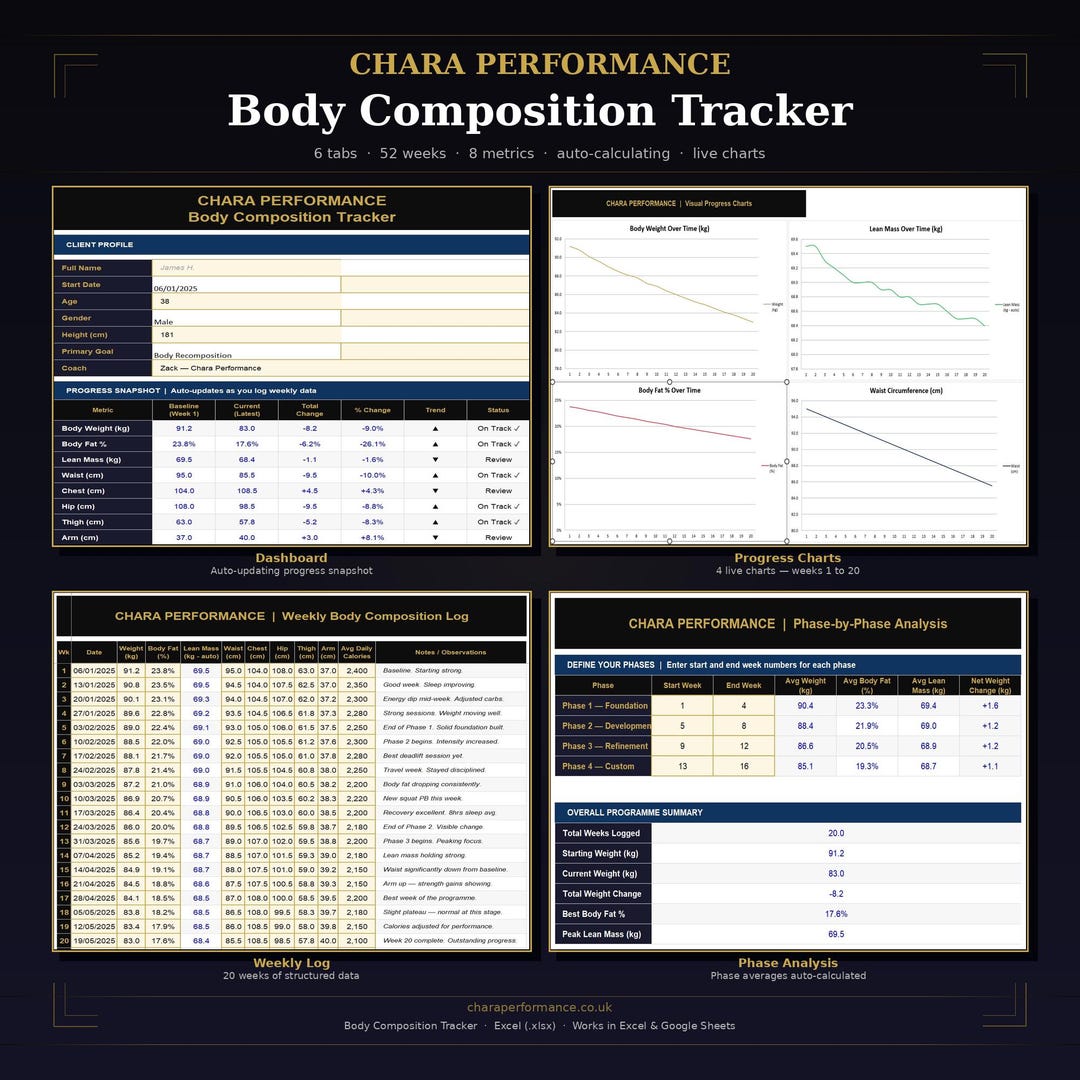 Body Composition Tracker Spreadsheet | Excel Fitness Log (52 Weeks) - Etsy