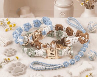 Collar personalizado para perro con placa de identificación grabada, collar ajustable a medida, collar elegante y duradero, accesorio único para perros.