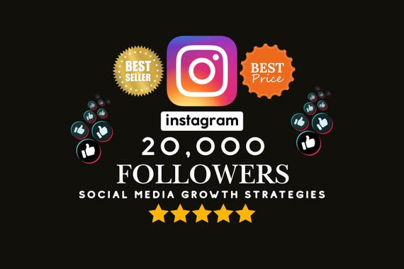 Instagram Growth Guide and Promotion Strategy Audience Development Profile Visibility Social Media PDF Consulting