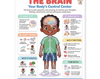 May include: An educational poster titled THE BRAIN Your Body's Control Center featuring a cartoon child with a visible brain illustration. The poster includes six numbered sections explaining brain functions, parts, and health tips with colorful icons.