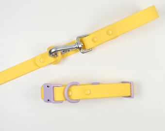 Mix and Match Collar and Leash, Buckle Closure