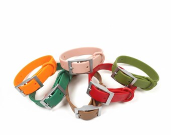 Waterproof PVC Dog Collar with Buckle Closure, Everyday Adventure Wear
