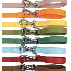Puede incluir: Una colección de correas para perros de colores, en tonos rosa, naranja, amarillo, verde, azul, rojo y marrón. Cada correa presenta un asa a juego y un cierre metálico plateado para sujetar al collar. Las correas son de material flexible.