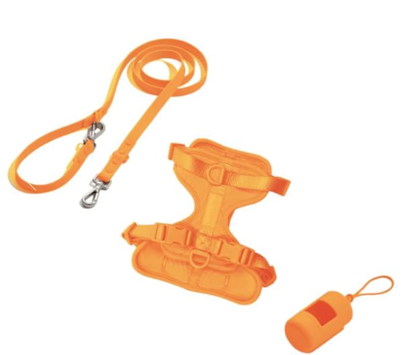 May include: An orange pet harness, lead, and waste bag dispenser set. The harness has adjustable straps and buckles. The lead has a metal clasp. The waste bag dispenser is cylindrical with a small loop. All items are a bright orange colour.