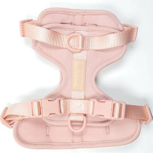 Comfortable Dog Harness and Leash Set | Adjustable No-Pull Walking Gear | Poop Bag Holder image 7