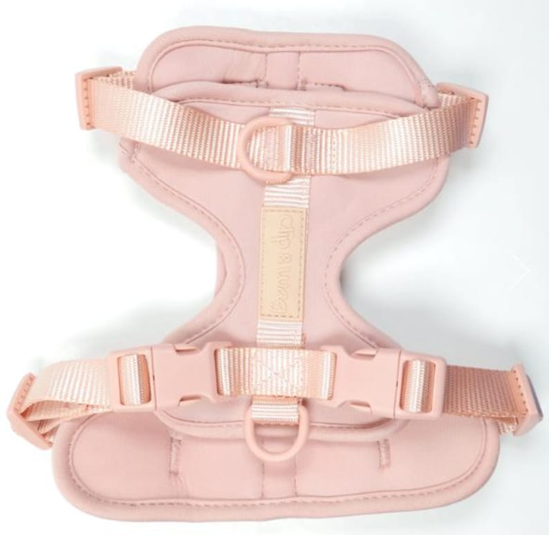 Comfortable Dog Harness and Leash Set | Adjustable No-Pull Walking Gear | Poop Bag Holder image 7