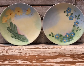 Two Hutschenreuther Selb Flower Plates Country Cottage Decor Bavaria Germany