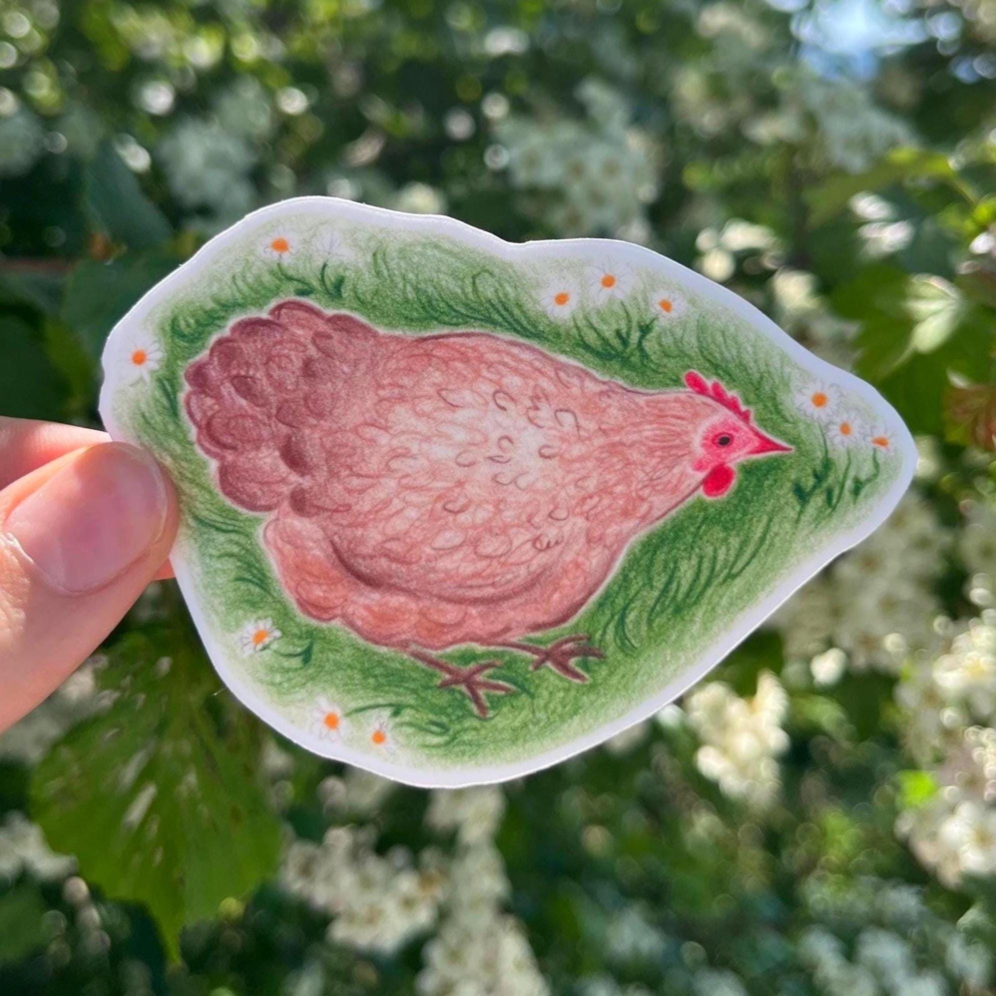 Spring Chicken Sticker Little Spring Chicken, Hand Drawn Sticker With a Matte Finish - Etsy