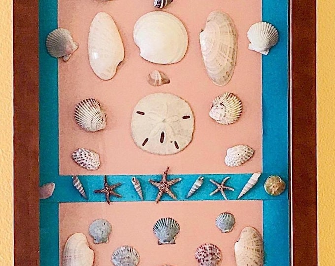 Shell Specimen Shadowbox Art
