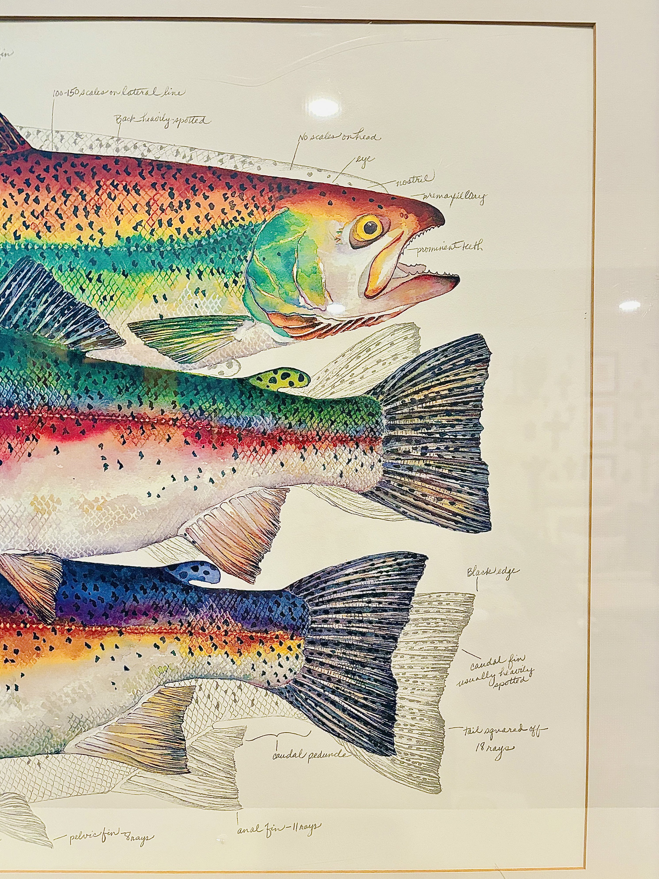 最新最全のをすべて Signed Eileen Klatt “rainbow/rainbow 絵画