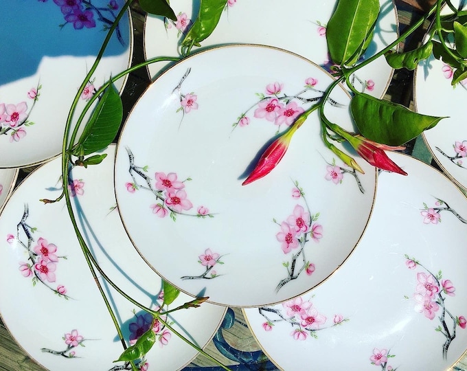 Cherry Blossom Luncheon Plates by Diamond China Japan Set of 8