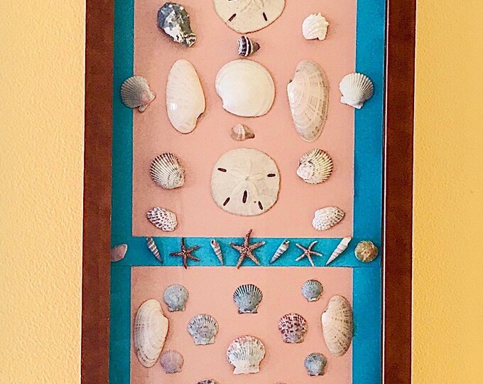 Shell Specimen Shadowbox Art