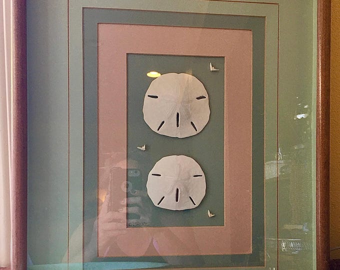 Sand Dollar & Bird Shell Art Shadow Box by BRUCE