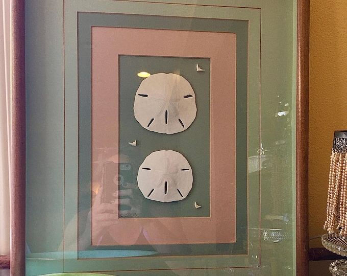 Shell Art Shadow Box by BRUCE