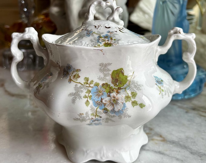 Antique Victorian Johnson Bros. England Large Lidded Royal Semi-Porcelain Sugar Bowl
