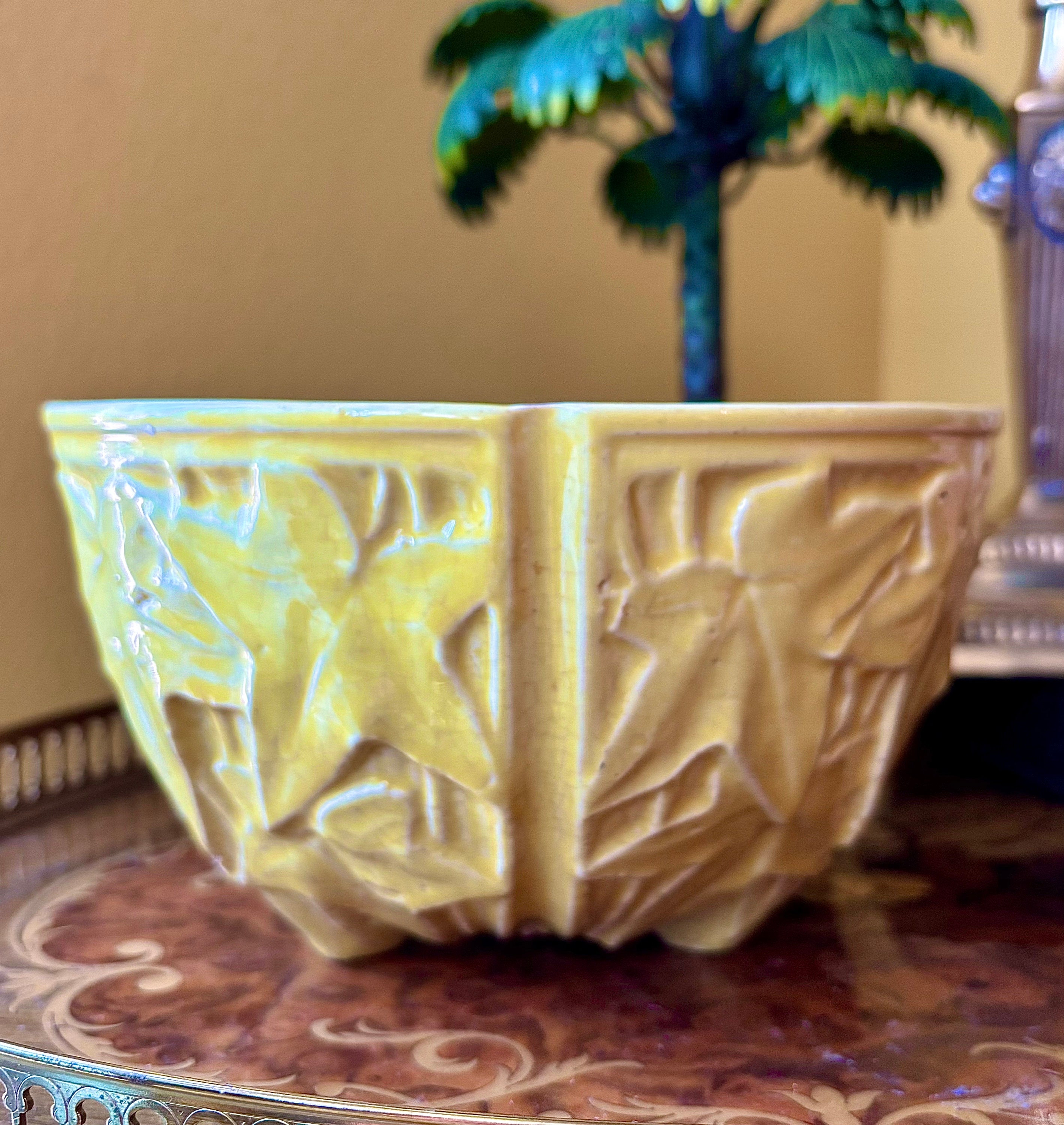buy large zz plant online ZZ Plant – Hey Rooted